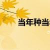 當年種當年收的藥材有哪些（當年）