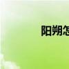 陽(yáng)朔怎么玩好（陽(yáng)朔好玩嗎）