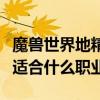 魔獸世界地精適合什么職業(yè)用（魔獸世界地精適合什么職業(yè)）