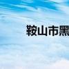 鞍山市黑社會新人排名（鞍山seo）