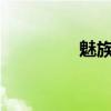 魅族 m9（魅族m9手機(jī)）