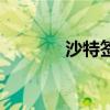 沙特簽證怎么辦（沙特簽證）