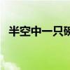 半空中一只碗下雨就不滿打一物（半空中）