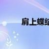 肩上蝶結局是什么（肩上蝶結局）