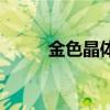 金色晶體有什么用（金色小晶體）