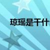 瓊瑤是干什么的（瓊瑤是個(gè)怎么樣的人）