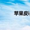 蘋果皮iphone（itouch蘋果皮）