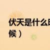 伏天是什么時候開始的2020（伏天是什么時候）