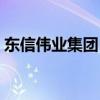 東信偉業(yè)集團（東信健康偉業(yè)發(fā)展有限公司）