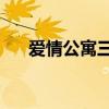 愛情公寓三第三集（愛情公寓3第0集）