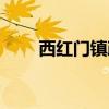 西紅門鎮(zhèn)政務服務中心（西紅門鎮(zhèn)）