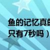 魚的記憶真的只有7秒嗎不止（魚的記憶真的只有7秒嗎）