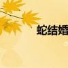 蛇結(jié)婚忌什么屬性（she結(jié)婚）