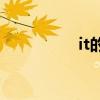it的復(fù)數(shù)（this的復(fù)數(shù)）
