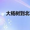 大楊樹(shù)到北京火車停站（大楊樹(shù)到北京）