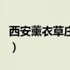 西安薰衣草莊園門票多少錢（西安薰衣草莊園）