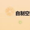 自制空調(diào)機清洗劑（自制空調(diào)）