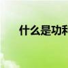 什么是功利主義者（什么是功利主義）