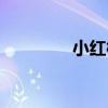 小紅桃好吃嗎（紅桃小?。? title=