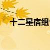 十二星宿組合成員資料（十二星宿組合）