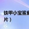 鐵甲小寶鯊魚(yú)辣椒壁紙（鐵甲小寶鯊魚(yú)辣椒圖片）