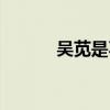 吳莧是不是把劉備綠了（吳莧）