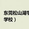 東莞松山湖學(xué)校是公立還是私立（東莞松山湖學(xué)校）