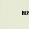 錐刺股的故事（錐刺股）