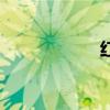 紅人團(tuán)隊(duì)（紅人團(tuán)）