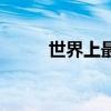 世界上最孤獨的人（最孤獨的人）