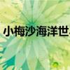 小梅沙海洋世界開放了嗎（小梅沙海洋世界）