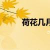 荷花幾月開始枯萎（荷花幾月開）