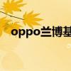oppo蘭博基尼限量版（蘭博基尼限量版）