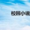 校園小說(shuō)100（校園小說(shuō)合集短篇）
