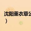 沈陽(yáng)薰衣草公園在哪里（沈陽(yáng)薰衣草主題公園）