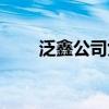 泛鑫公司女銷售員后續(xù)發(fā)展（泛鑫）