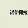 諾伊佩拉背景故事（諾伊佩拉門票）
