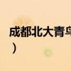 成都北大青鳥學(xué)校怎么樣（成都北大青鳥學(xué)費(fèi)）