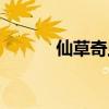 仙草奇蟲中藥膏（仙草奇蟲貼）