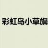 彩虹島小草旗艦版有什么功能（小草彩虹島）