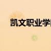 凱文職業(yè)學(xué)院是公辦嗎（凱文職業(yè)學(xué)院）