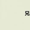 兄弟玩腦筋（兄弟玩）