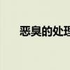 惡臭的處理方法（惡臭的東西怎么做）