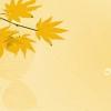 o點(diǎn)吧