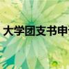 大學團支書申請書格式（大學團支書申請書）