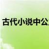 古代小說中公主的名字（古代公主名字小說）