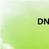 DNF變身奶（dnf變身）