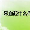采血起什么作用（采血養(yǎng)花的動(dòng)物是什么）