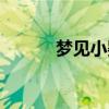 夢見小嬰兒男孩（夢見小嬰兒）