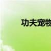 功夫寵物圖鑒（qq功夫英雄寵物）